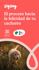 Zigzag: Educación del cachorro screenshot