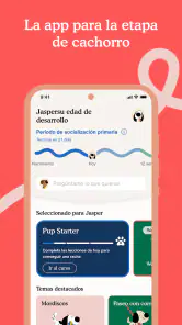 Zigzag: Educación del cachorro screenshot