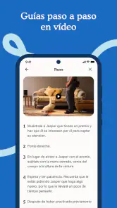 Zigzag: Educación del cachorro screenshot