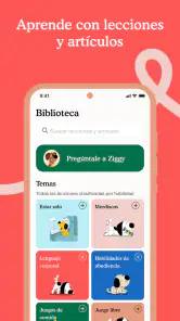 Zigzag: Educación del cachorro screenshot