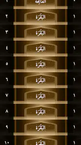 القرآن الكريم بدون اعلانات screenshot