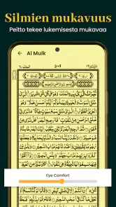Al Quran Kareem 16 Riviä screenshot
