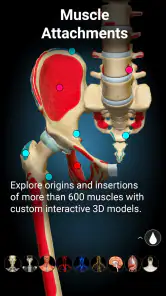 Anatomy Learning - 3D Anatomy screenshot