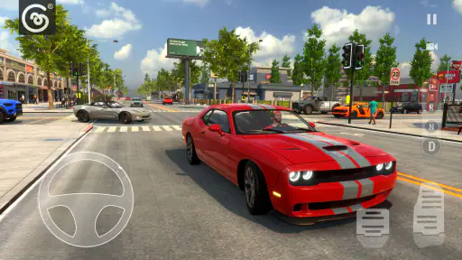 Auto Parkeer Rijschool netissä screenshot