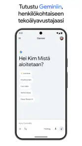 Google Gemini screenshot