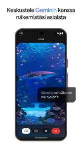 Google Gemini screenshot