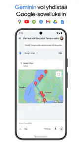 Google Gemini screenshot