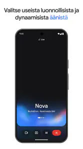 Google Gemini screenshot