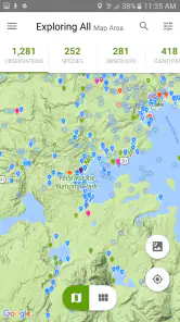 iNaturalist screenshot