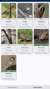 Muuttolintujen kevät – RFJM screenshot