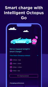 Octopus Energy screenshot