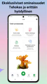 Sienitunniste screenshot