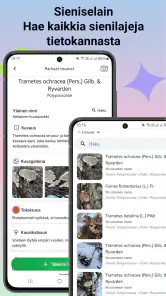 Sienitunniste screenshot