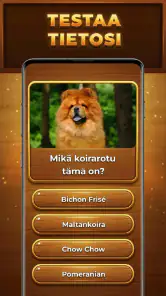 Tietopuu: Trivia Blocks screenshot