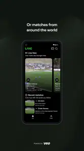 Veo screenshot
