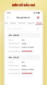 VNeTraffic screenshot