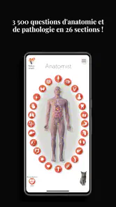Anatomist - Le Jeu d'Anatomie screenshot