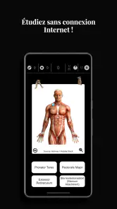 Anatomist - Le Jeu d'Anatomie screenshot