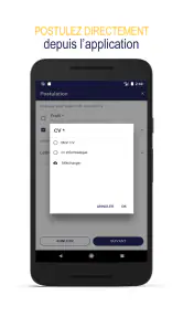 Apec : offres d’emploi cadre screenshot