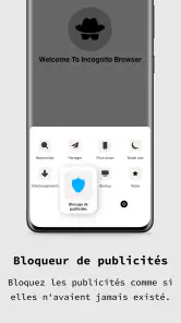 Application navigateur privé screenshot