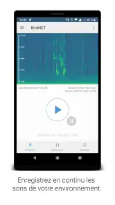 BirdNET screenshot