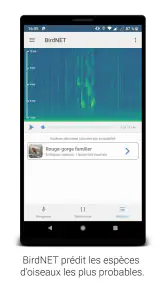 BirdNET screenshot