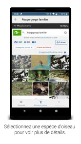 BirdNET screenshot
