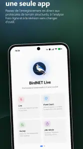BirdNET Live screenshot