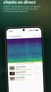 BirdNET Live screenshot