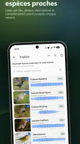 BirdNET Live screenshot