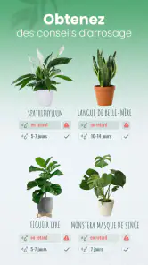 Blossom - Reconnaissez plantes screenshot