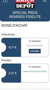 Brico Dépôt Spécial Pros screenshot
