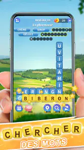 Briser des Mots : Jeu de Mots screenshot