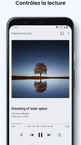 BubbleUPnP DLNA/Chromecast screenshot