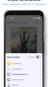 BubbleUPnP UPnP/DLNA Licence screenshot