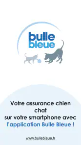 Bulle Bleue screenshot