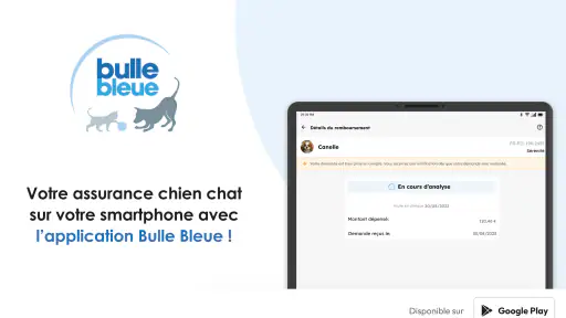Bulle Bleue screenshot