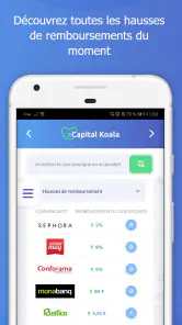 Capital Koala screenshot