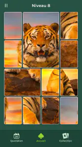 Cardscapes™: Jigsaw Puzzles screenshot