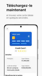 Carte de Crédit Facile screenshot