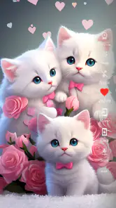 Chat mignon Fond d'écran HD screenshot