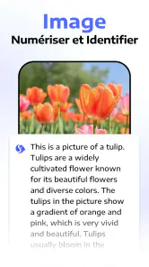 Chatbot Assistant - AI Seek screenshot