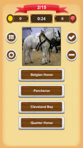 Chevaux - Quiz screenshot