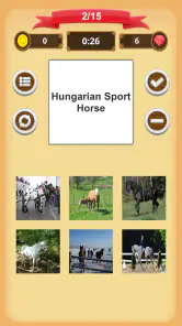 Chevaux - Quiz screenshot