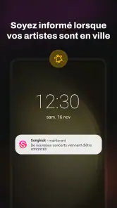 Concerts Songkick screenshot