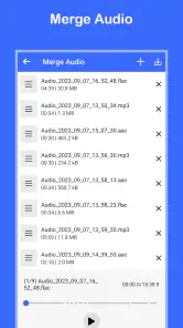Convertir une Vidéo en Mp3 screenshot