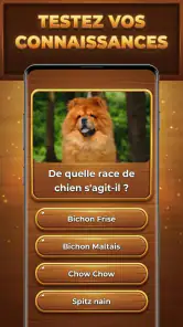Défi Trivia : Trivia Blocks screenshot