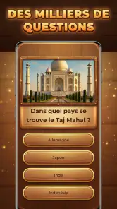 Défi Trivia : Trivia Blocks screenshot