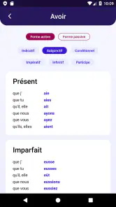 Dictionnaire Anglais-Français  screenshot