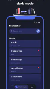 Dictionnaire Larousse français screenshot